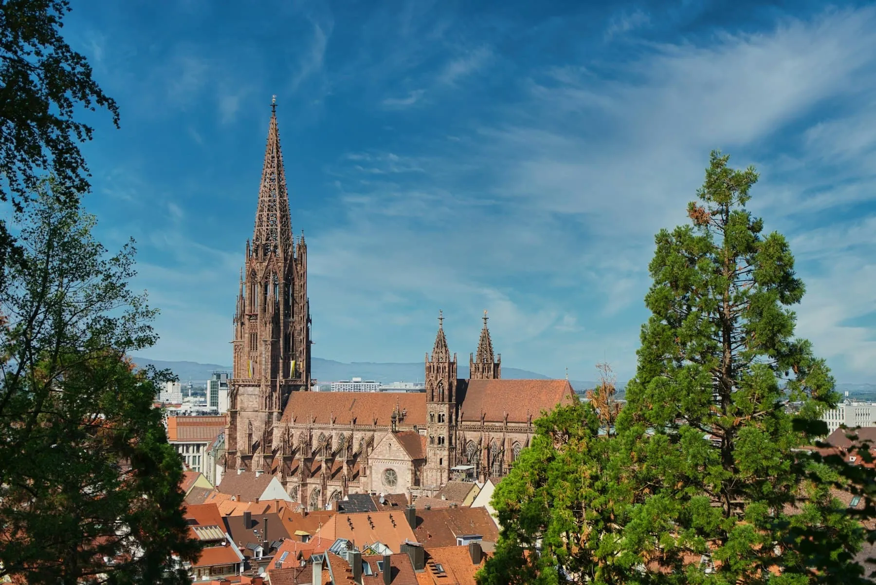 Freiburger Münster über den Dächern der Altstadt