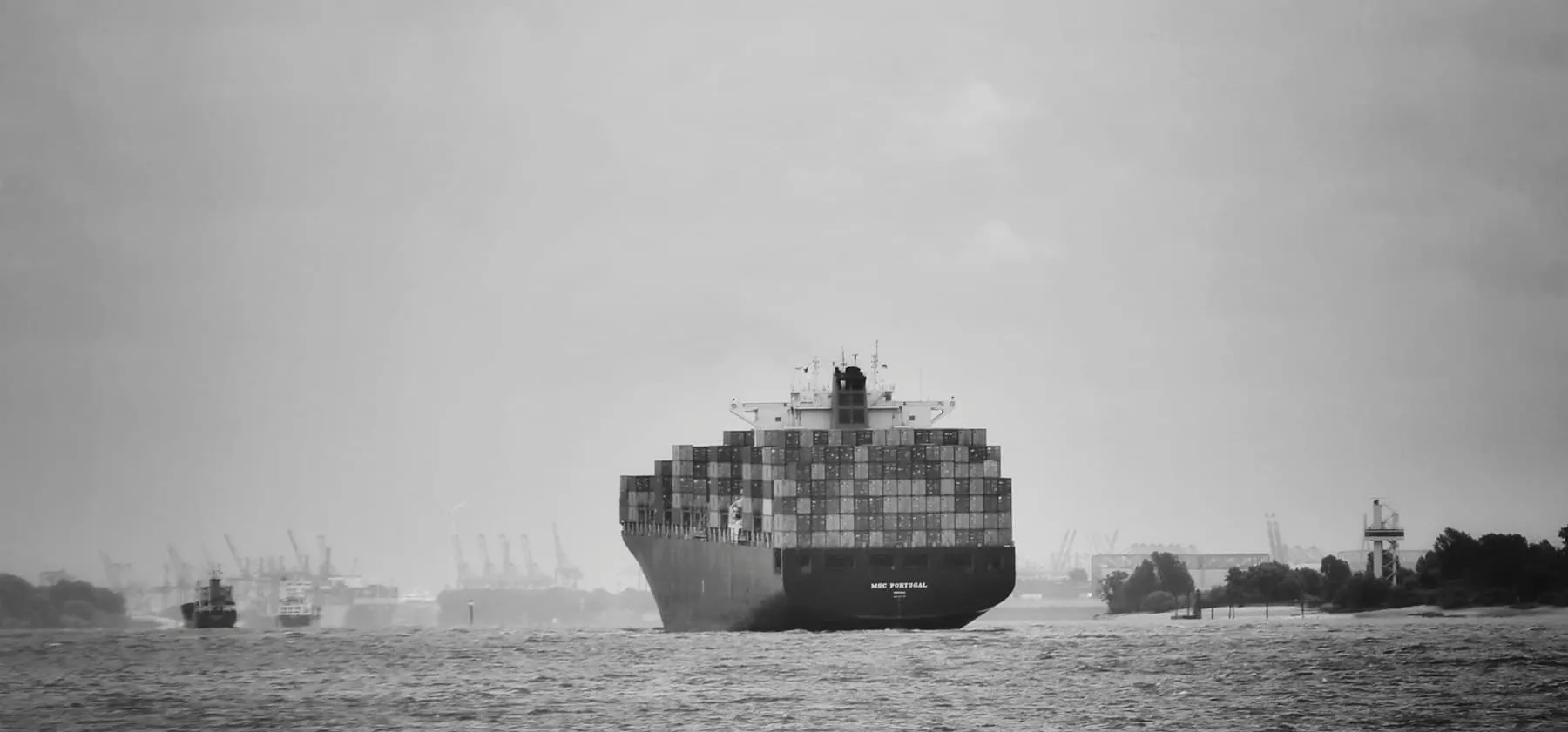 Containerschiff auf der Elbe vor Wedel-Schulau